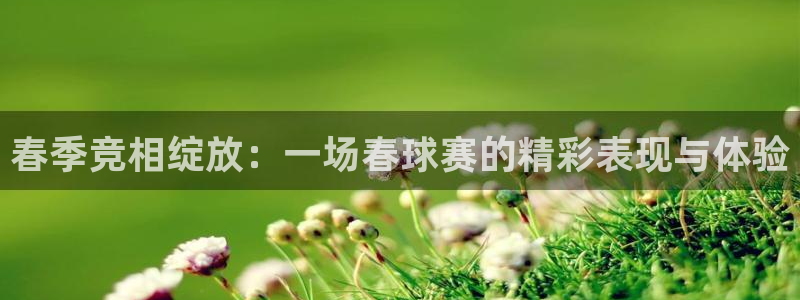 春季竞相绽放：一场春球赛的精彩表现与体验