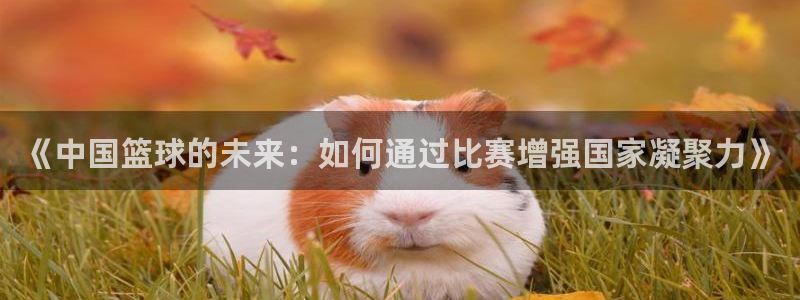  《中国篮球的未来：如何通过比赛增强国家凝聚力》