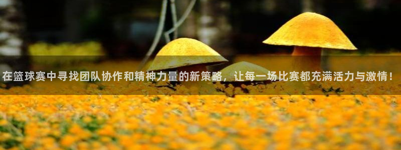 fib体育：在篮球赛中寻找团队协作和精神力量的新策略，让每一