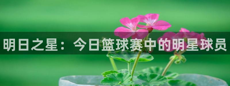 b体育官网最新下载地址是什么：明日之星：今日篮球赛中的明星球