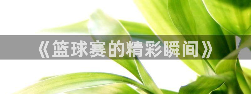  B0b体育中国官方入口：《篮球赛的精彩瞬间》