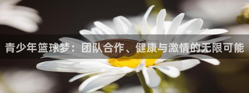  b体育官网登录：青少年篮球梦：团队合作、健康与激情的无限可能