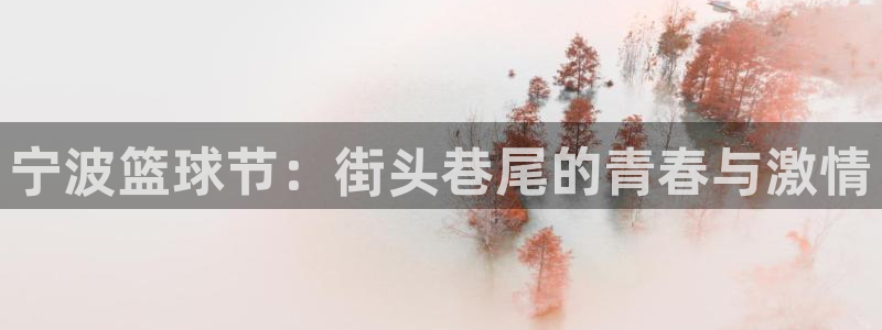 b0b体育在哪下载：宁波篮球节：街头巷尾的青春与激情