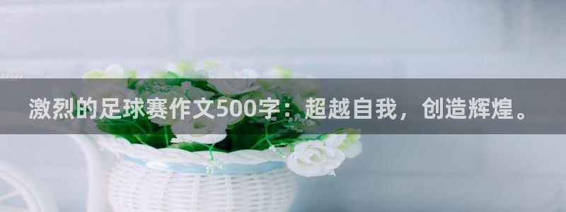  B0B体育平台下载：激烈的足球赛作文500字：超越自我，创造