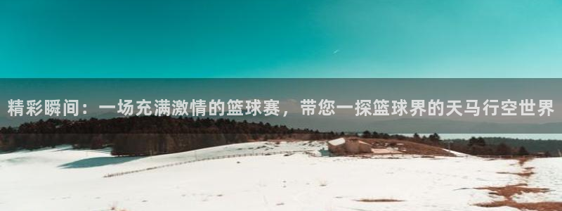 b体育官网登录：精彩瞬间：一场充满激情的篮球赛，带您一探篮球