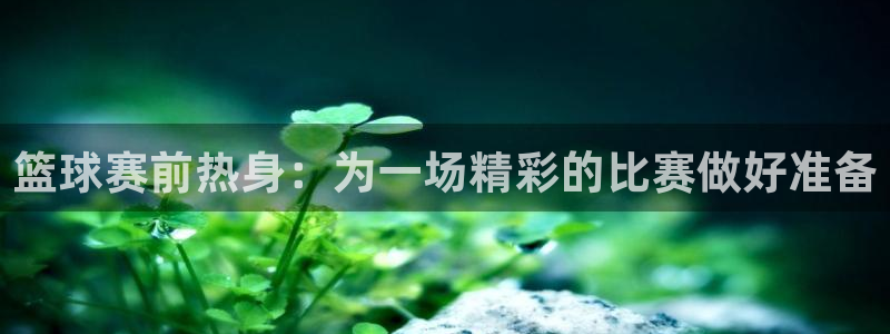  b体育官网入口登录手机版：篮球赛前热身：为一场精彩的比赛做好