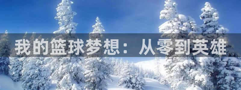  b0b体育app下载：我的篮球梦想：从零到英雄