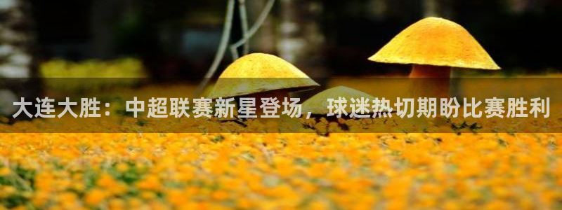 b体育旧版官网下载：大连大胜：中超联赛新星登场，球迷热切期盼