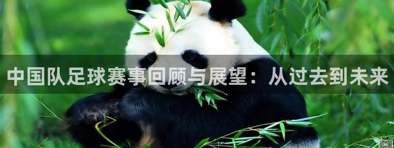 b体育官网旧版入口：中国队足球赛事回顾与展望：从过去到未来