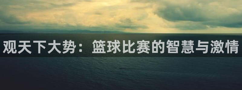 B体育官网在线下载：观天下大势：篮球比赛的智慧与激情